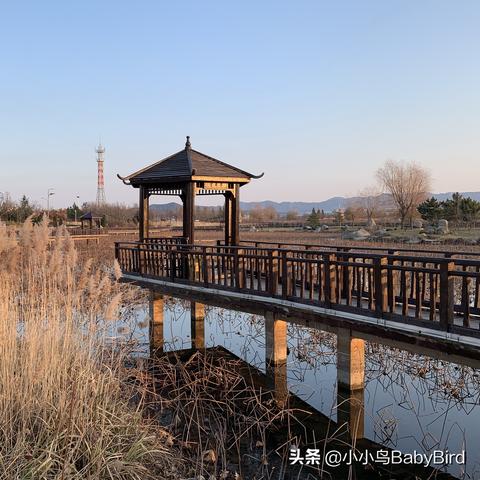 威海羊亭发展规划概览