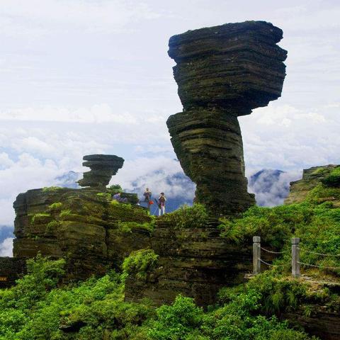 太子瀑山庄最新价格概览