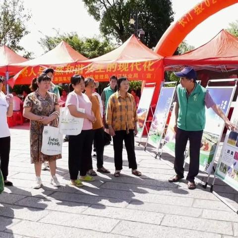 最新规划环评条例解读分析