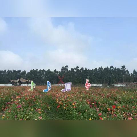 开平赤坎新开发计划重磅揭晓!