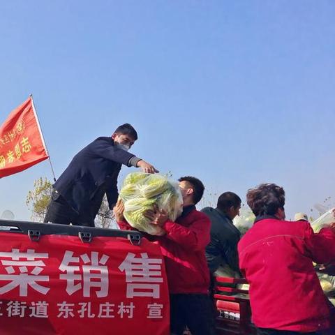 焦作蔬菜批发价格走势分析