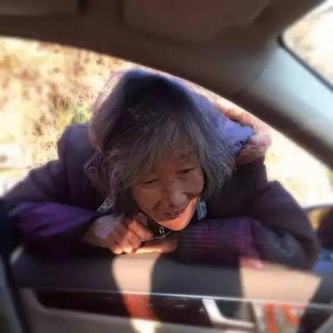 探父母假的最新规定及其社会影响分析