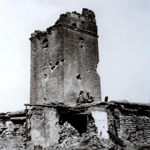 太原小米国际最新消息动态