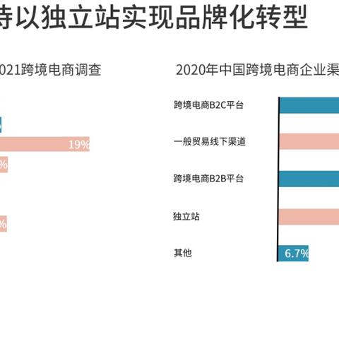 揭秘2025微商新品，商机与趋势展望