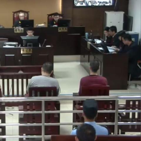 广西罗城最新案件深度剖析(2025年进展)