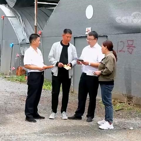 揭秘最新免流软件，功能优势与用户洞察 2025版