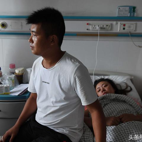 深圳猪肉分割招工信息解读，最新岗位分析