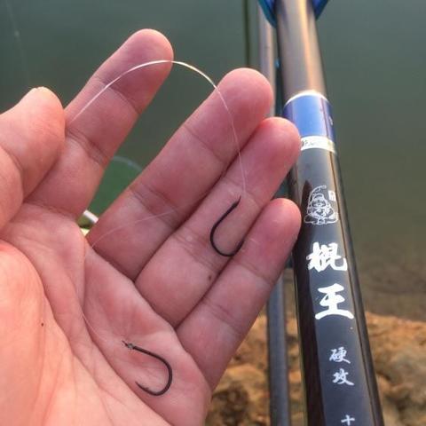 钓大罗非鱼技巧全解析,视频教程、装备指南与策略分享