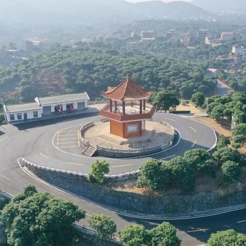 钓大罗非鱼技巧全解析,视频教程、装备指南与策略分享