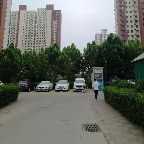 石家庄锦城最新动态深度解析报道