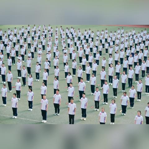 汉中龙岗新区最新动态深度解读