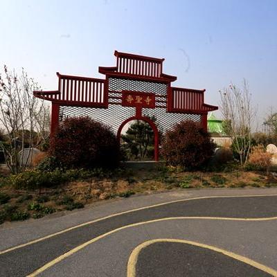 周口东新区发展最新动态