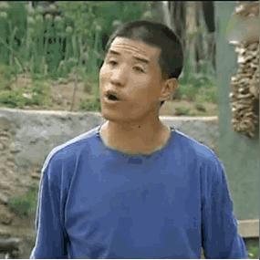 赵四新剧深度解析与观众反馈热议