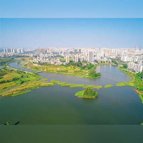 最新都市剧未来之城探秘热播