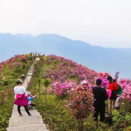 奉化东郊工厂招聘启事,最新职位空缺