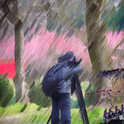 春暖花开最新论坛，科技生活新领域探索