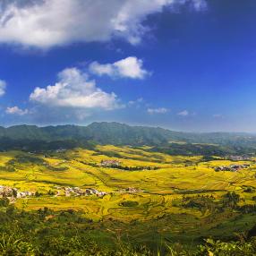 春暖花开最新论坛,科技生活新领域探索