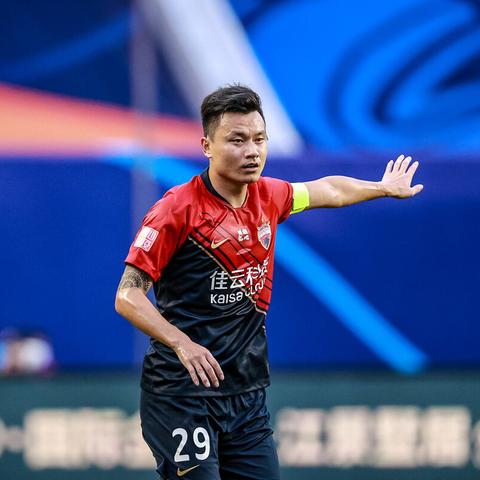 石家庄淘汰鸡价格走势分析