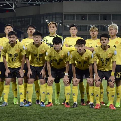 石家庄淘汰鸡价格走势分析