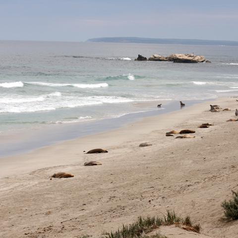 2025新澳天天六开资料,马、鼠、鸡、虎_30-07-36-49-42-34 T：0840.193