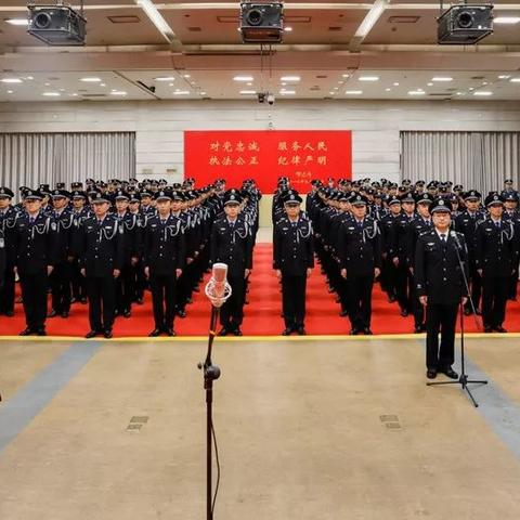 2025新澳门正版免费挂牌,猪、狗、鼠、蛇_27-02-38-11-40-33 T：258.576