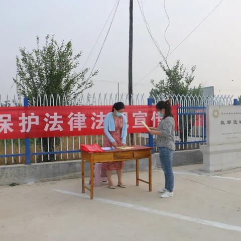 故郡村考古最新进展报道