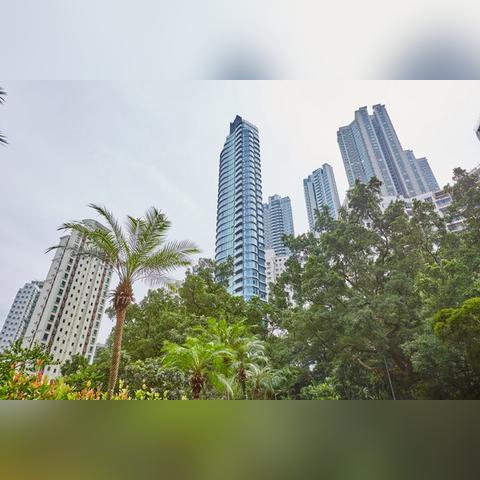 2025澳门正版免费精准大全,鼠、鸡、兔、猪_24-21-13-42-30-14 T:1824.461