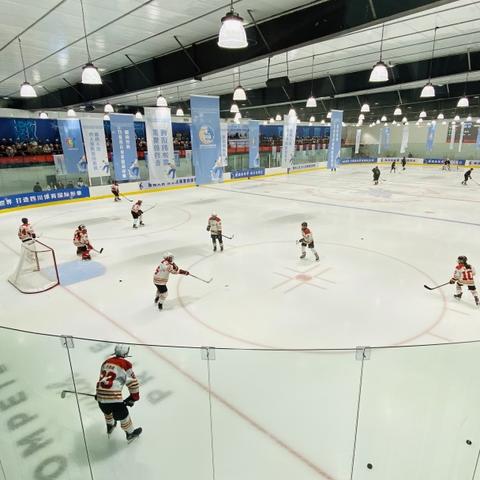 成都国际足球中心最新进展动态速递