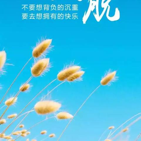 逍遥梦路最新章节揭秘,奇幻探未知之旅