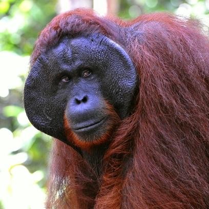 新澳2025年最新版资料,牛、狗、猪、猴_18-39-09-07-16-46 T：0220.941