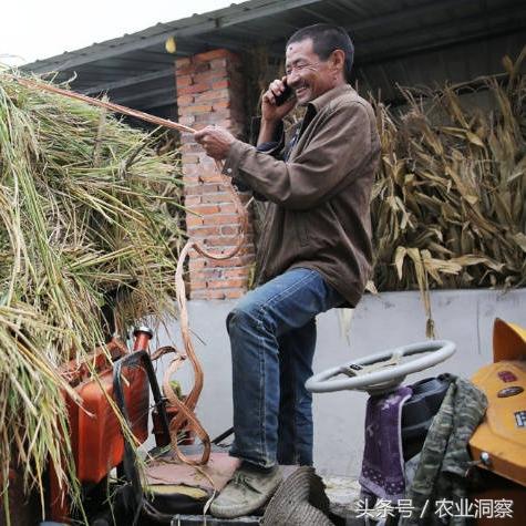 勉县最新车祸新闻报道