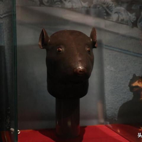 澳门一码一特一中准选今晚,蛇、虎、鼠、猪_27-11-34-04-16-31 T：1035.845