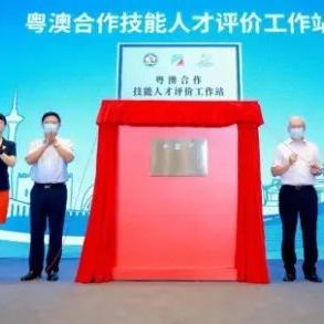 澳门一码一码100准确挂牌,兔、马、蛇、牛_41-25-21-09-49-15 T：3564.814