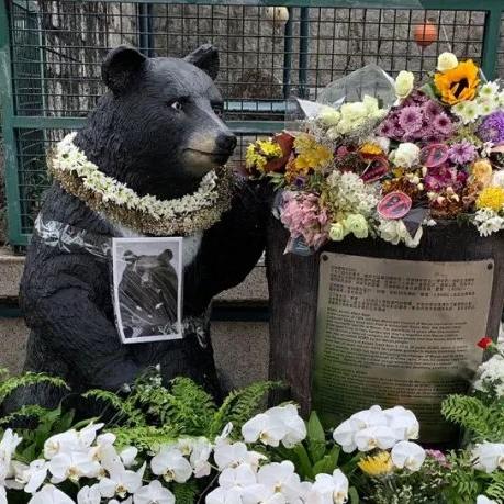 澳门今晚9点30分开奖结果,狗、羊、兔、虎_42-10-39-23-43-33 T:1496.163