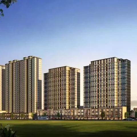 菏泽青禾源引领农业科技创新,乡村振兴新动力