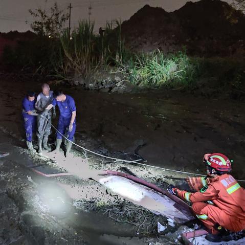 义乌最新小时工招聘信息汇总与解读