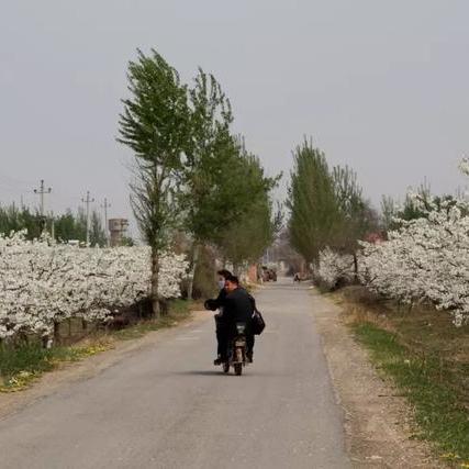 衡水阜城楼房最新价格走势分析