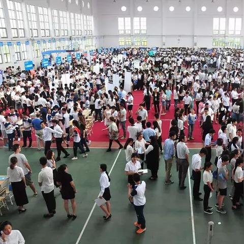 辰欣药业股票动态解析