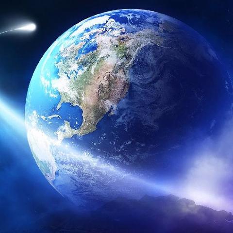 金星综艺节目深度解析，数据与魅力的交汇