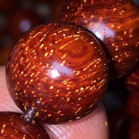 金星综艺节目深度解析,数据与魅力的交汇