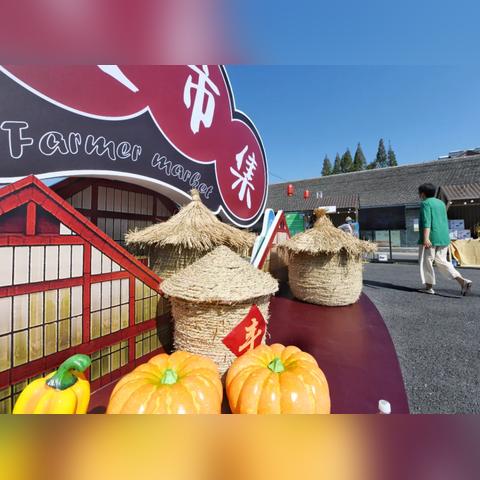 松江张泽最新招聘资讯