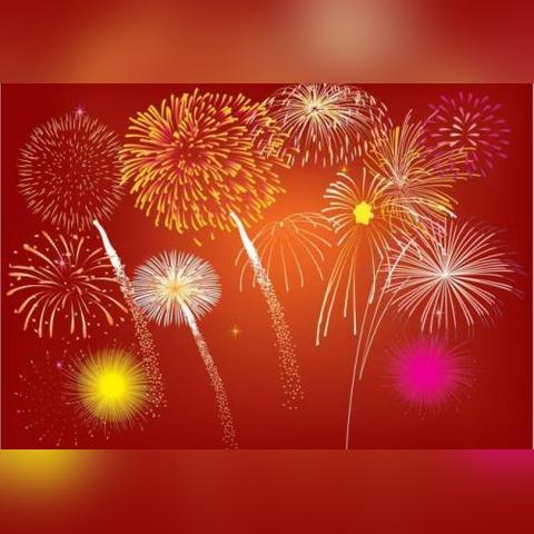 寂寞姐姐，独自绽放的孤独魅力最新章节