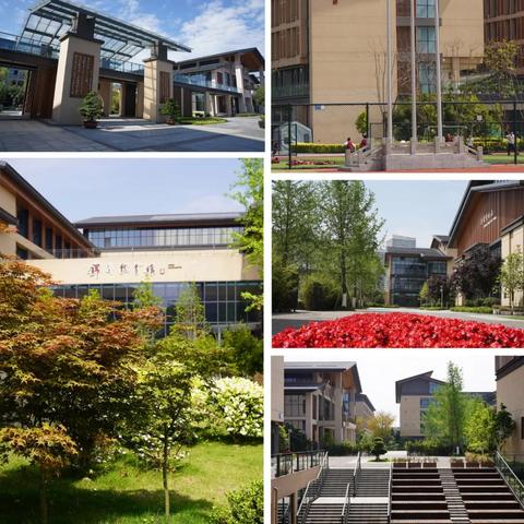 成都小升初政策最新解读