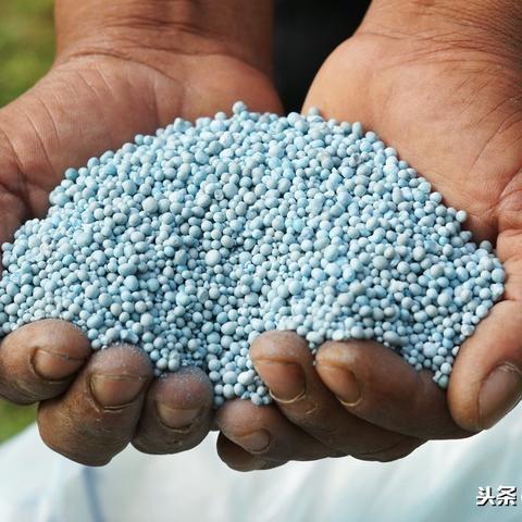 中国复合肥最新报价及市场分析