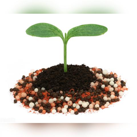 中国复合肥最新报价及市场分析