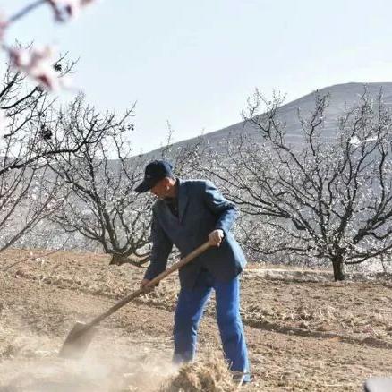 狼窝最新地址精选，深度分析与全面评估指南