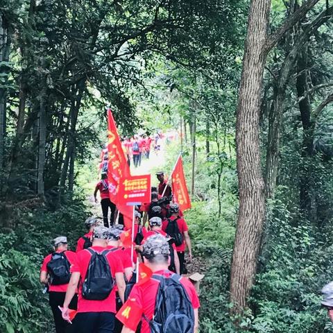 温州永嘉桥下楼盘最新解析概览