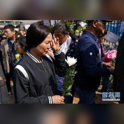 港台直播源新动态,探索最新有效的直播资源