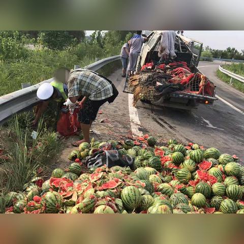 鹿邑司机招聘新信息速递