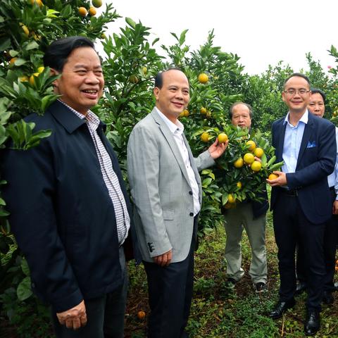 廉江今日最新一线消息报道